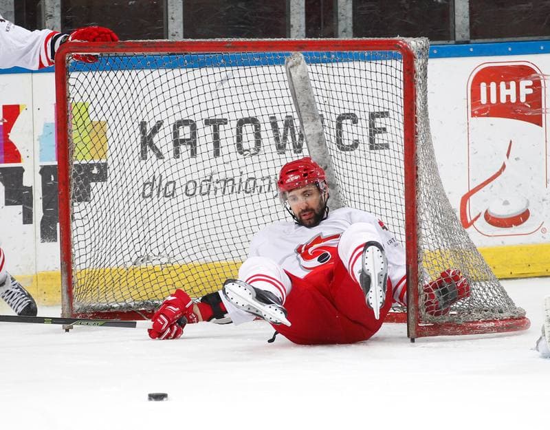 Ice Hockey. Poland national team. Training. 13.04.2016