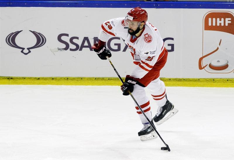 Ice Hockey. Euro Ice Hockey Challenge. Poland - Slovenia. 05.11.2015