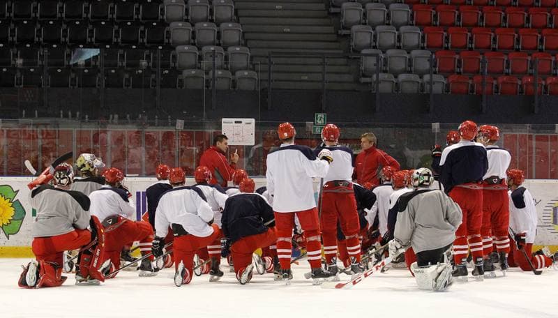 Ice Hockey. Poland national team. Training. 14.04.2015