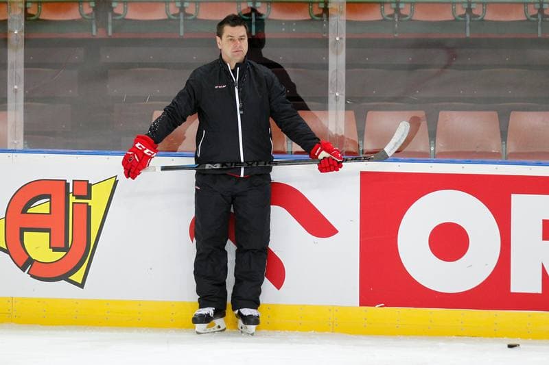 Ice Hockey. Poland national team. Training. 24.04.2016
