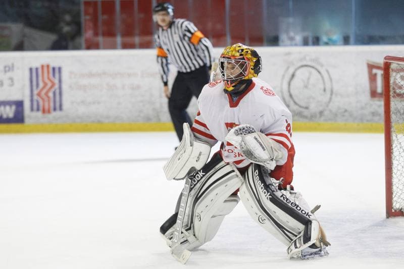 Ice Hockey. Friendly Match. Poland U20 - France U20. 06.08.2016