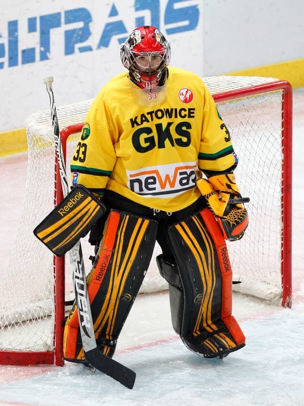 Ice Hockey. Polska Hokej Liga. HC GKS Katowice - Aksam Unia Oswiecim. 10.01.2014