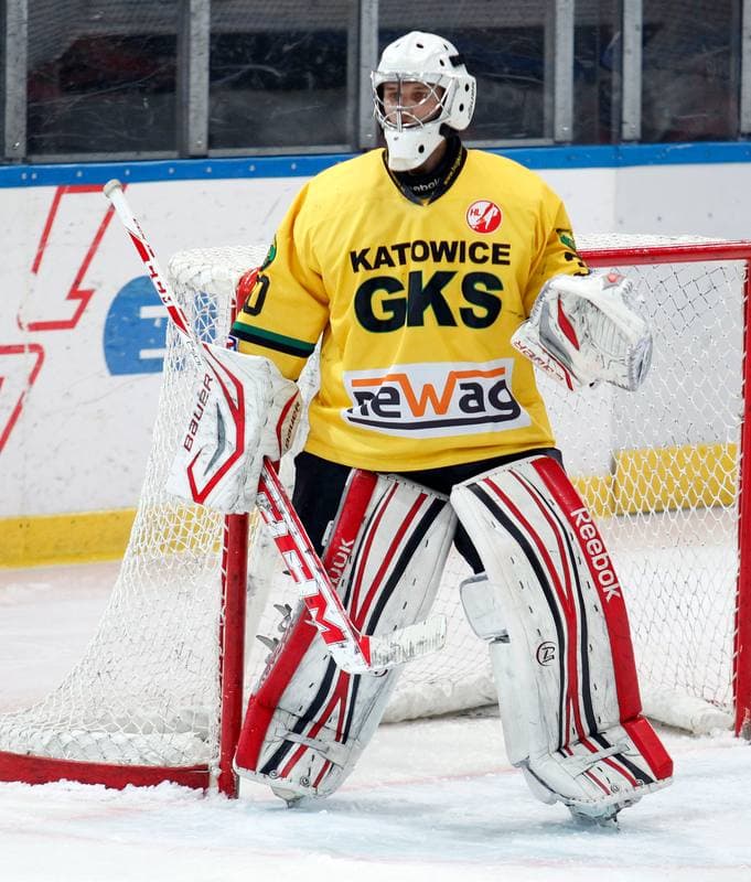 Ice Hockey. Polska Hokej Liga. HC GKS Katowice - Ciarko KH Sanok. 17.01.2014