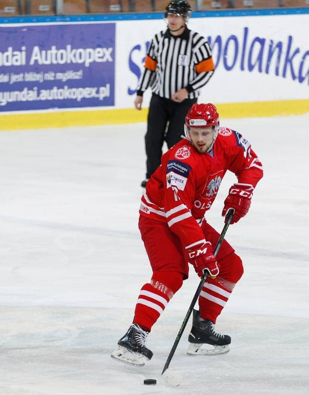 Ice Hockey. International Friendly Match. Poland - Korea. 16.04.2016