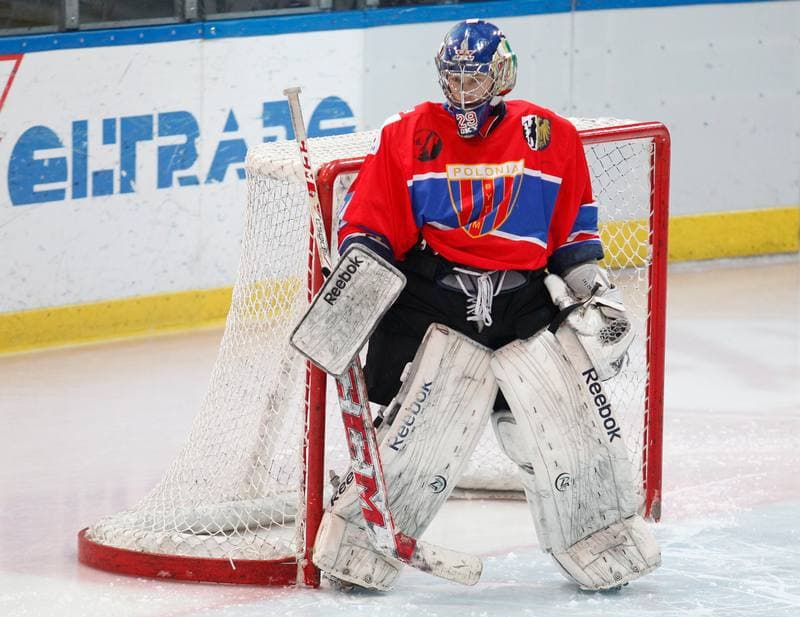 Ice Hockey. Polska Hokej Liga. HC GKS Katowice - Polonia Bytom. 01.02.2015