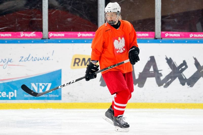 Ice Hockey. Poland national team. Training. 15.02.2018