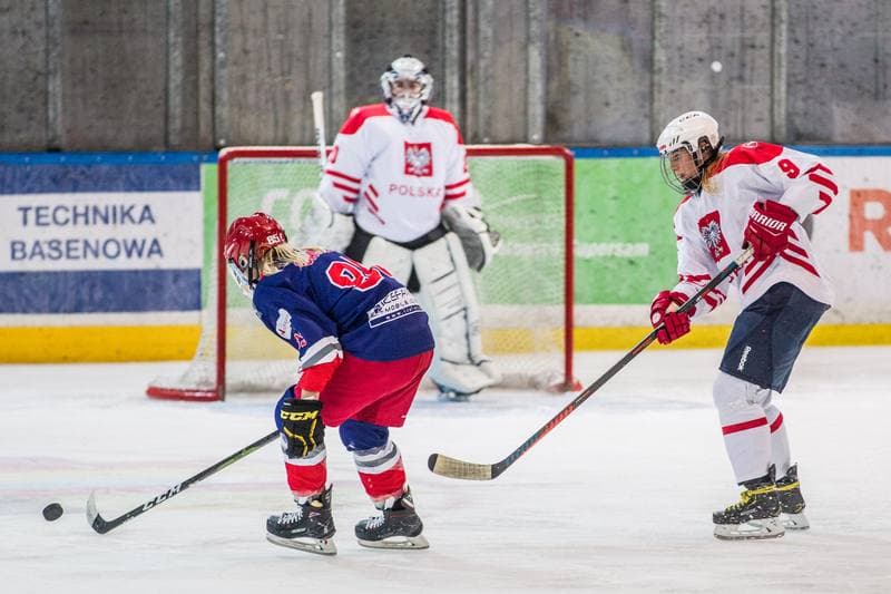 Ice Hockey. EWHL. Silesia Brackens - EVB Eagles. 29.09.2019