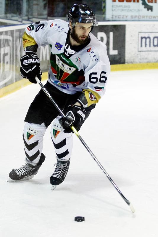 Ice Hockey. PHL. GKS Tychy - TatrySki Podhale Nowy Targ. 30.03.2019