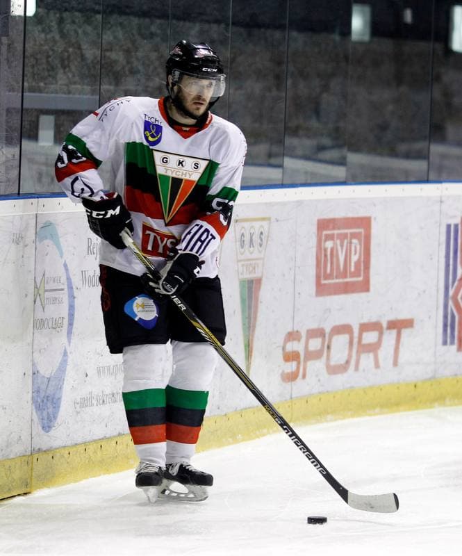 Ice Hockey. Polska Hokej Liga. GKS Tychy - Comarch Cracovia Krakow. 30.01.2015