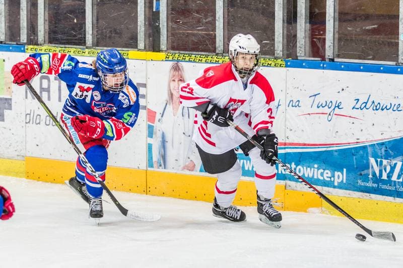 Ice Hockey. EWHL. Silesia Breckens - Hvidovre IK Selects. 30.11.2019