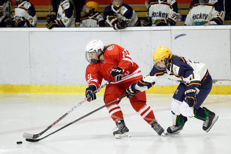 Ice Hockey. Women's Friendly Match. Poland - Ontario. 04.04.2017