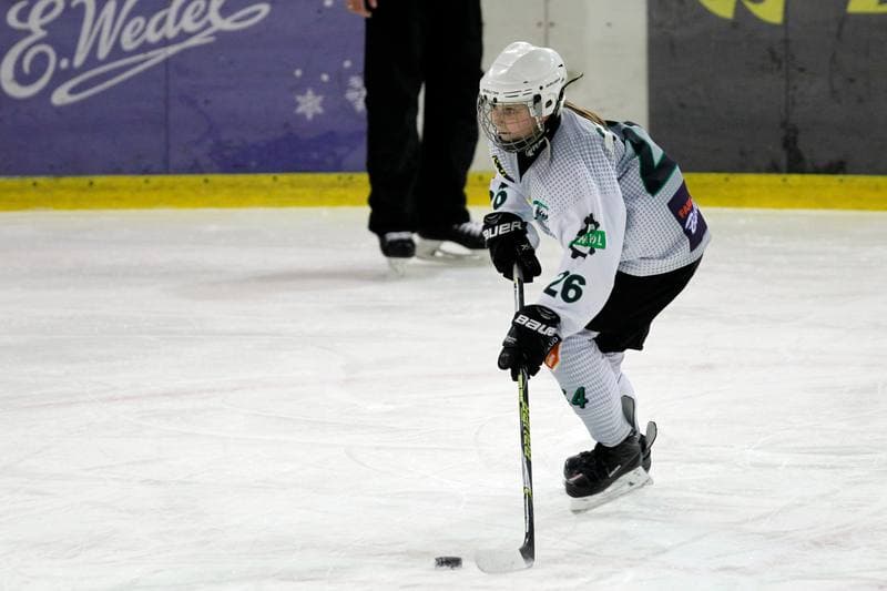 Ice Hockey. PLHK. Naprzod Janow - Polonia Bytom. 18.01.2018