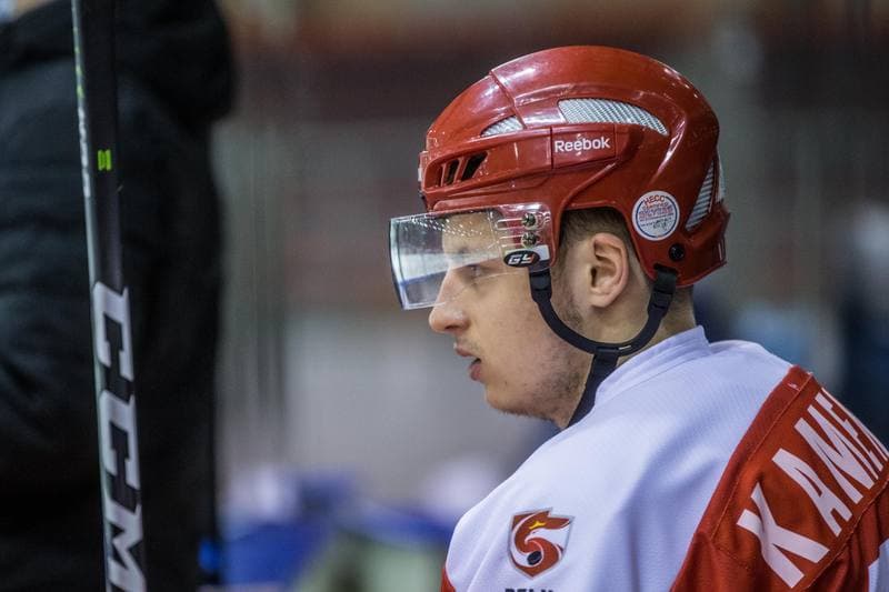 Ice Hockey. International Friendly. Poland - Hungary. 17.12.2020