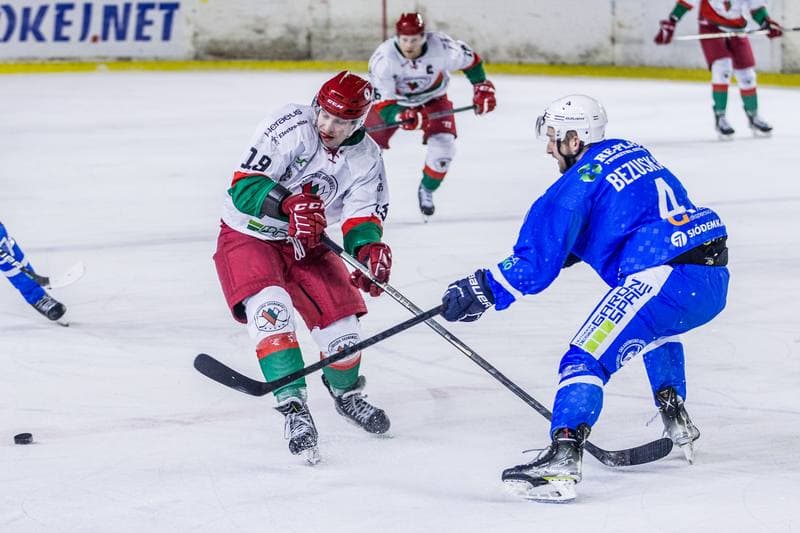 Ice Hockey. PHL. Zaglebie Sosnowiec - Re-Plast Unia Oswiecim. 04.01.2022