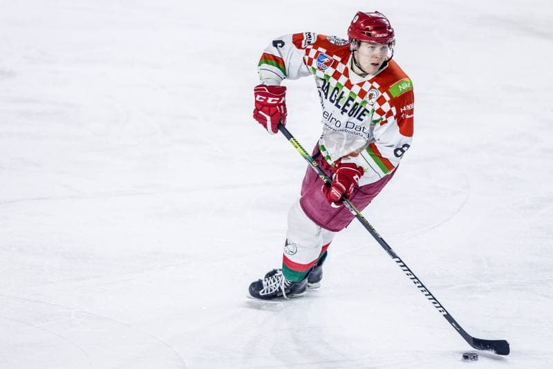 Ice Hockey. MHL. UKH Zaglebie Sosnowiec - Sokoly Torun. 08.01.2022