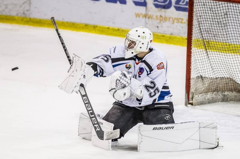 Ice Hockey. MHL. SMS PZHL Katowice - LKH Lodz. 15.01.2022