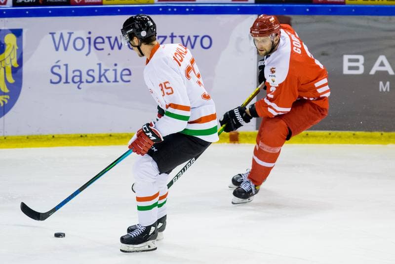 Ice Hockey. International Friendly. Poland - Hungary. 18.12.2020