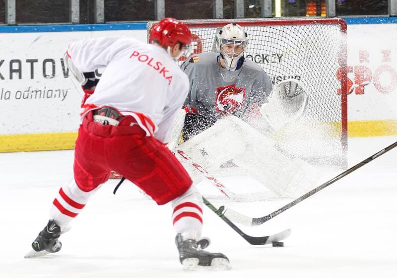 Ice Hockey. Poland national team. Training. 13.04.2016