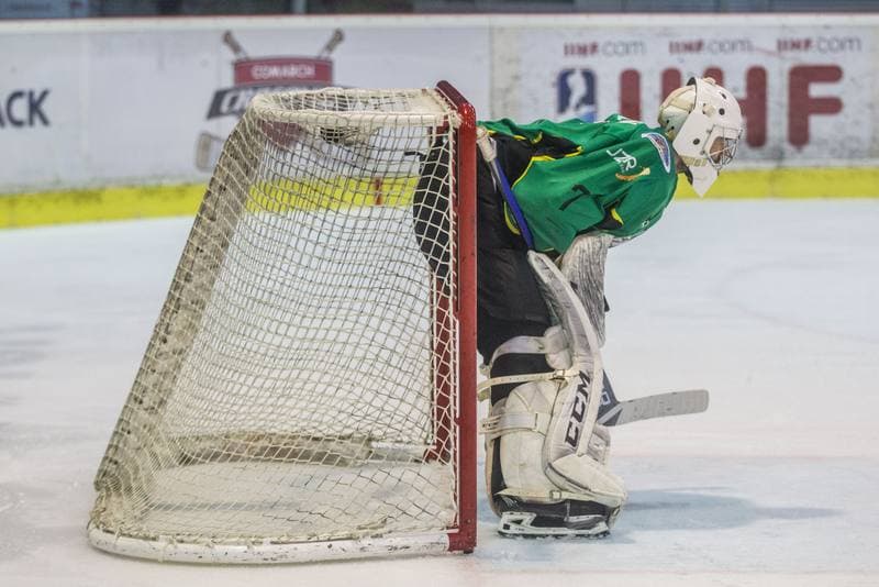 Ice Hockey. PHL. Comarch Cracovia - JKH GKS Jastrzebie. 31.03.2021