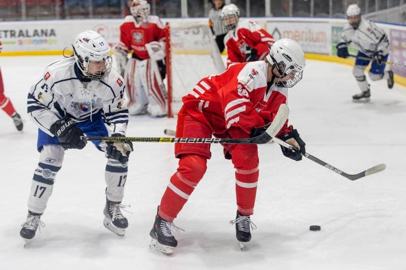 Ice Hockey. EWHL. Orlice Bytom - SKP Bratislava. 19.11.2022