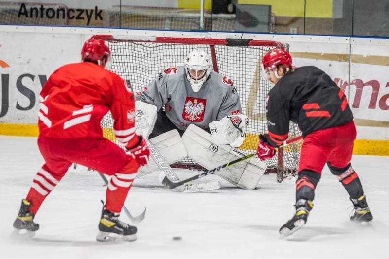 Ice Hockey. Poland national team. Training. 06.05.2021