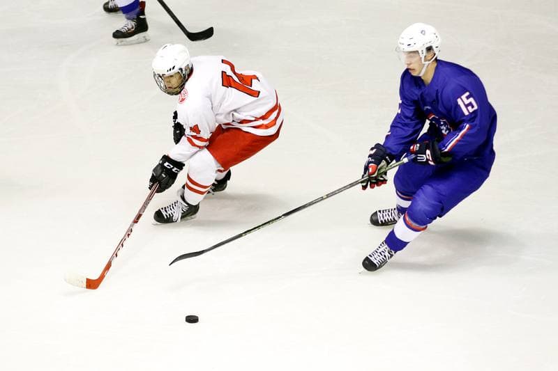 Ice Hockey. Friendly Match. Poland U20 - France U20. 06.08.2016