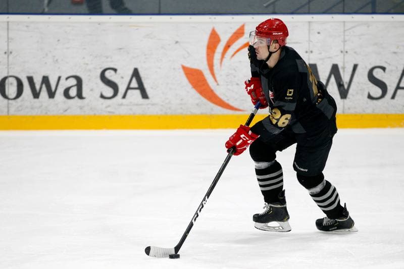 Ice Hockey. Polska Hokej Liga. JKH GKS Jastrzebie - Comarch Cracovia. 10.01.2019
