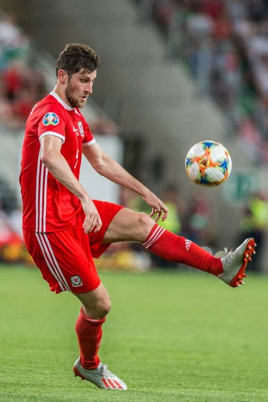 Football. Euro 2020 Qualifiers. Hungary - Wales. 11.06.2019