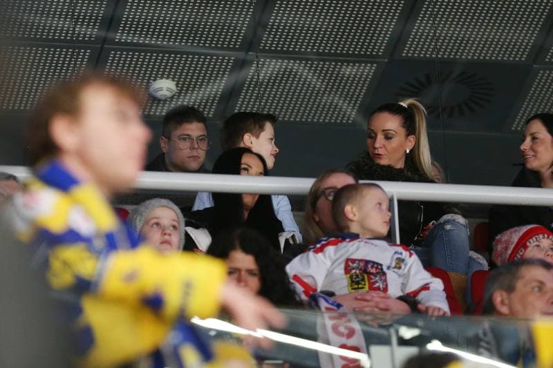 Ice Hockey. Tipsport Extraliga. Ocelari Trinec - PSG Zlin. 19.02.2017