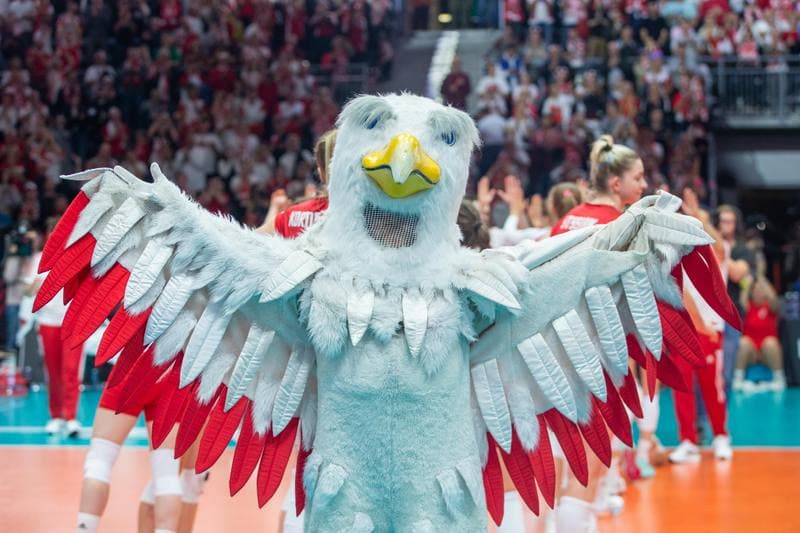Volleyball. FIVB Women's World Championship. Serbia - Poland. 11.10.2022