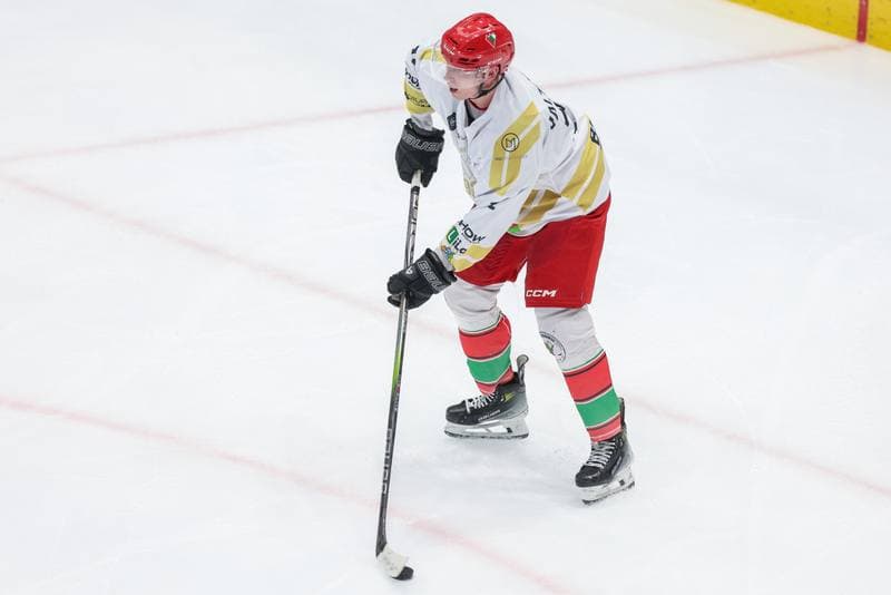 Ice Hockey. Tauron Hokej Liga. Zaglebie Sosnowiec - GKS Tychy. 20.12.2023