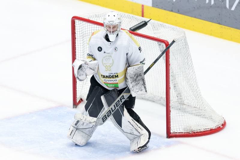 Ice Hockey. Tauron Hokej Liga. Zaglebie Sosnowiec - KH Energa Torun. 12.01.2024