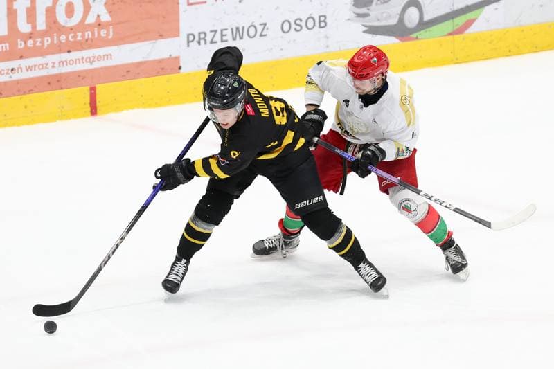 Ice Hockey. Tauron Hokej Liga. Zaglebie Sosnowiec - GKS Katowice. 21.01.2024