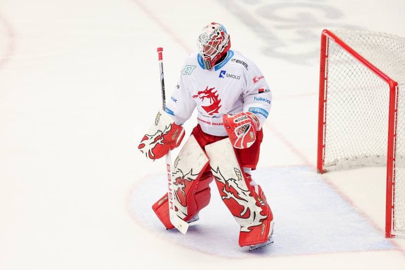 Ice Hockey. Tipsport Extraliga. Ocelari Trinec - Rytri Kladno. 31.01.2024