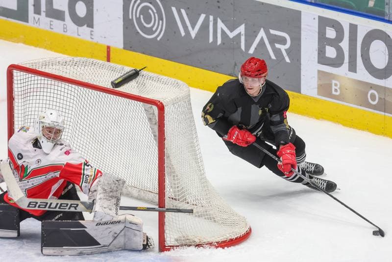 Ice Hockey. Tauron Hokej Liga. Zaglebie Sosnowiec - Comarch Cracovia. 19.11.2023