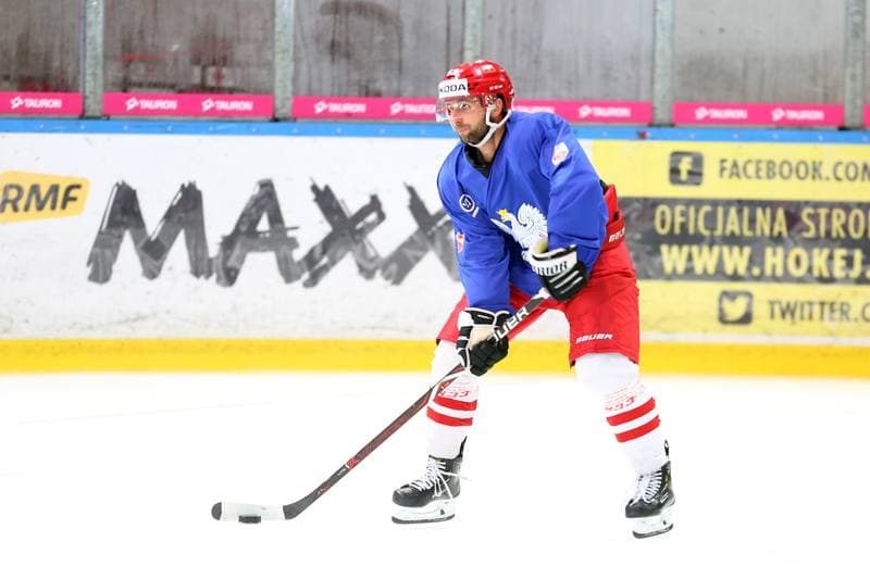 Ice Hockey. Poland national team. Training. 20.08.2018