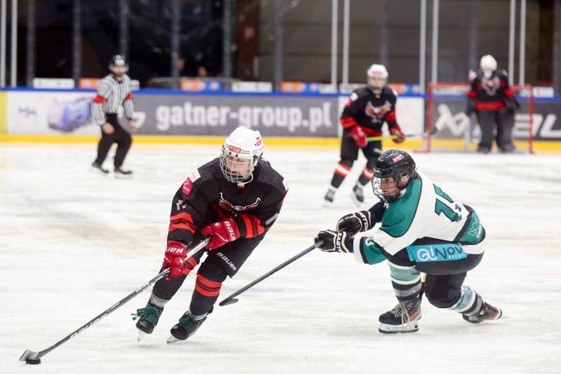 Ice Hockey. EWHL. Tauron Metropolia Silesia - KEHV Lakers. 03.02.2024