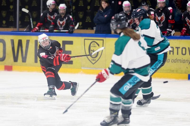 Ice Hockey. EWHL. Tauron Metropolia Silesia - KEHV Lakers. 03.02.2024