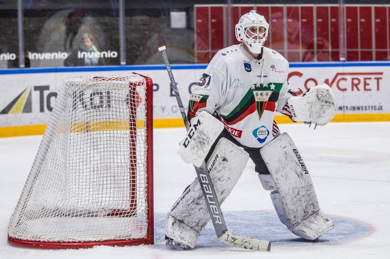 Ice Hockey. Polska Hokej Liga. GKS Tychy - Energa Torun. 21.02.2020