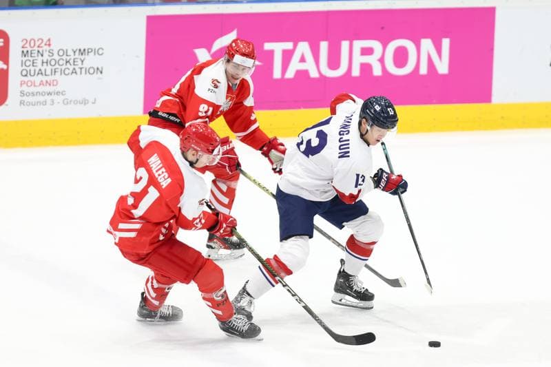 Ice Hockey. Olympic Qualification. Korea - Poland. 11.02.2024