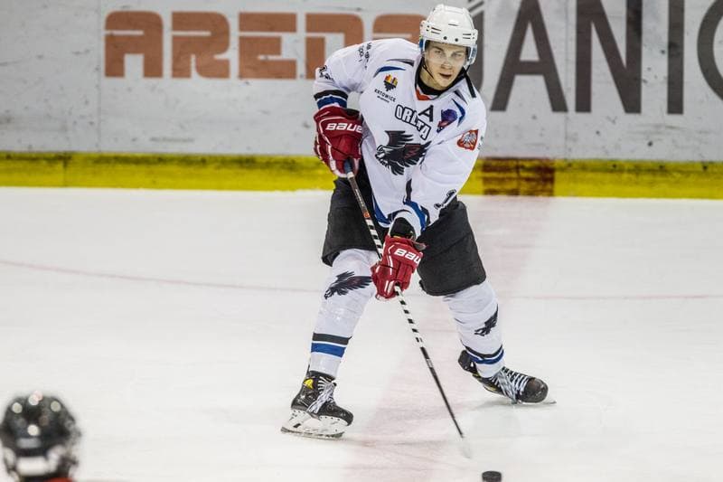 Ice Hockey. MHL. SMS PZHL Katowice - LKH Lodz. 15.01.2022
