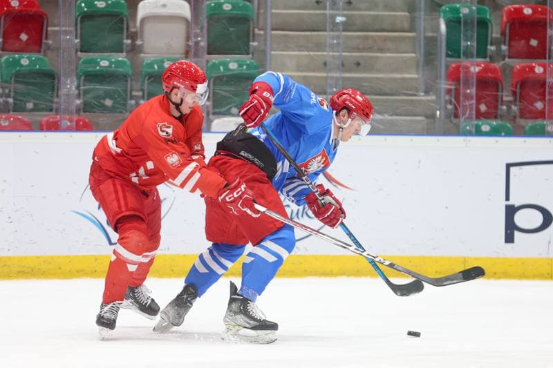 Ice Hockey. Poland national team. Training. 30.04.2024