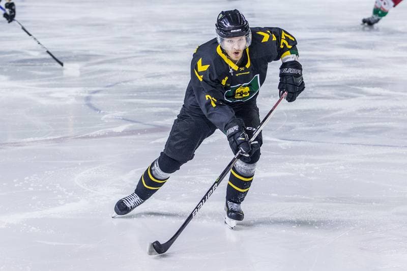 Ice Hockey. Polska Hokej Liga. Zaglebie Sosnowiec - GKS Katowice. 28.02.2022
