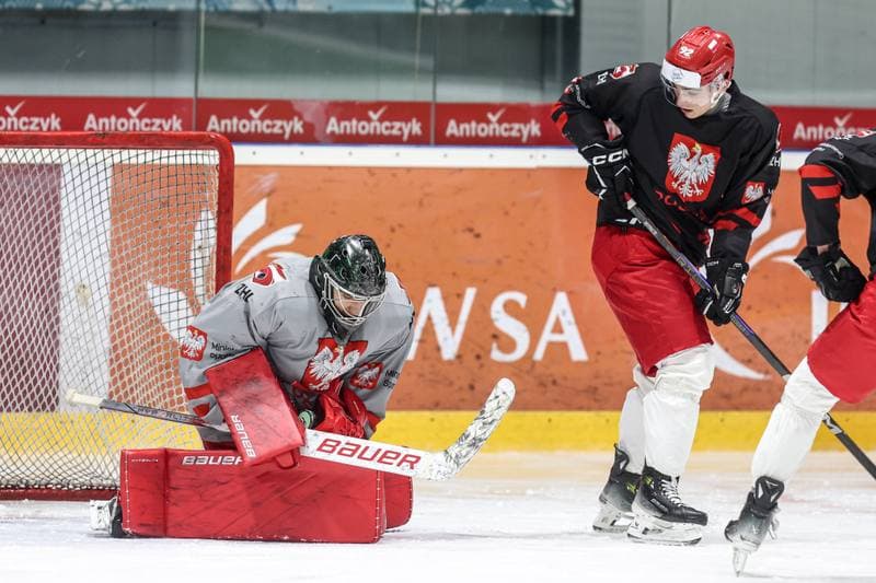 Ice Hockey. Poland national team. Training. 03.11.2024