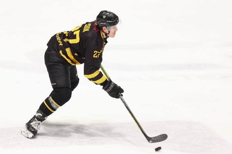 Ice Hockey. Tauron Hokej Liga. Re-Plast Unia Oswiecim - GKS Katowice. 01.02.2024