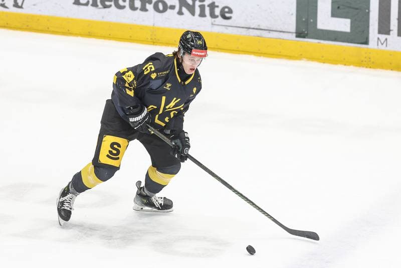 Ice Hockey. Tauron Hokej Liga. EC Bedzin Zaglebie Sosnowiec - GKS Katowice. 01.12.2024