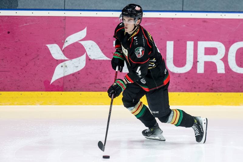 Ice Hockey. Tauron Hokej Liga. JKH GKS Jastrzebie - GKS Tychy. 20.10.2024