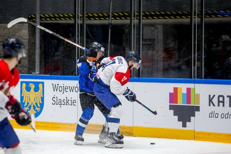 Ice Hockey. World Championship Division 1 Group B. Estonia - Serbia. 30.04.2022