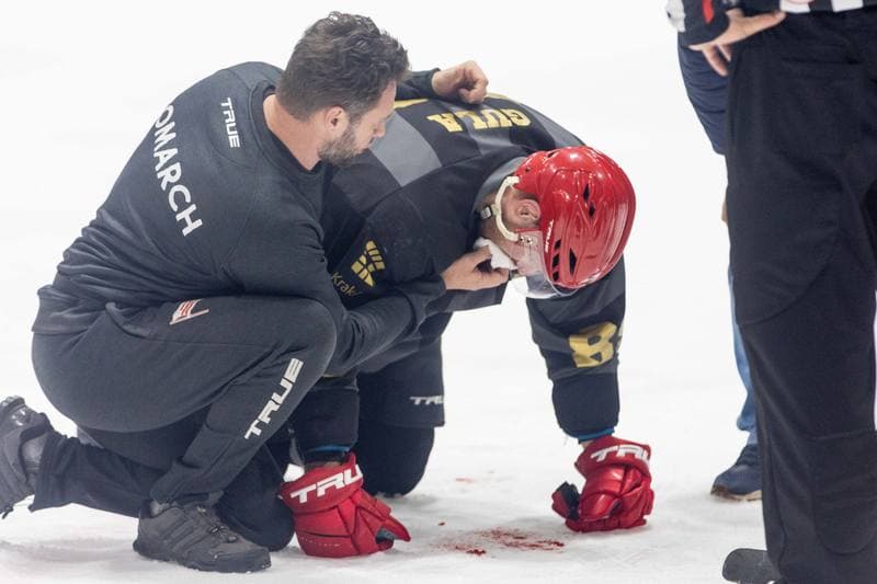 Ice Hockey. PHL. JKH GKS Jastrzebie - Comarch Cracovia. 25.10.2022