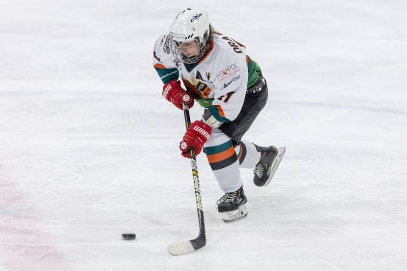 Ice Hockey. PLHK. Kojotki Naprzod Janow - BS Polonia Bytom. 09.11.2022